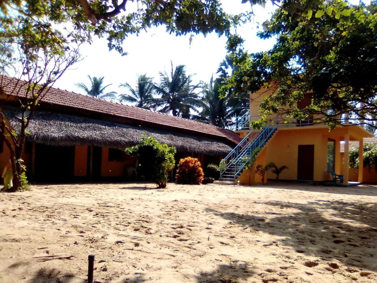 Dolphin Village