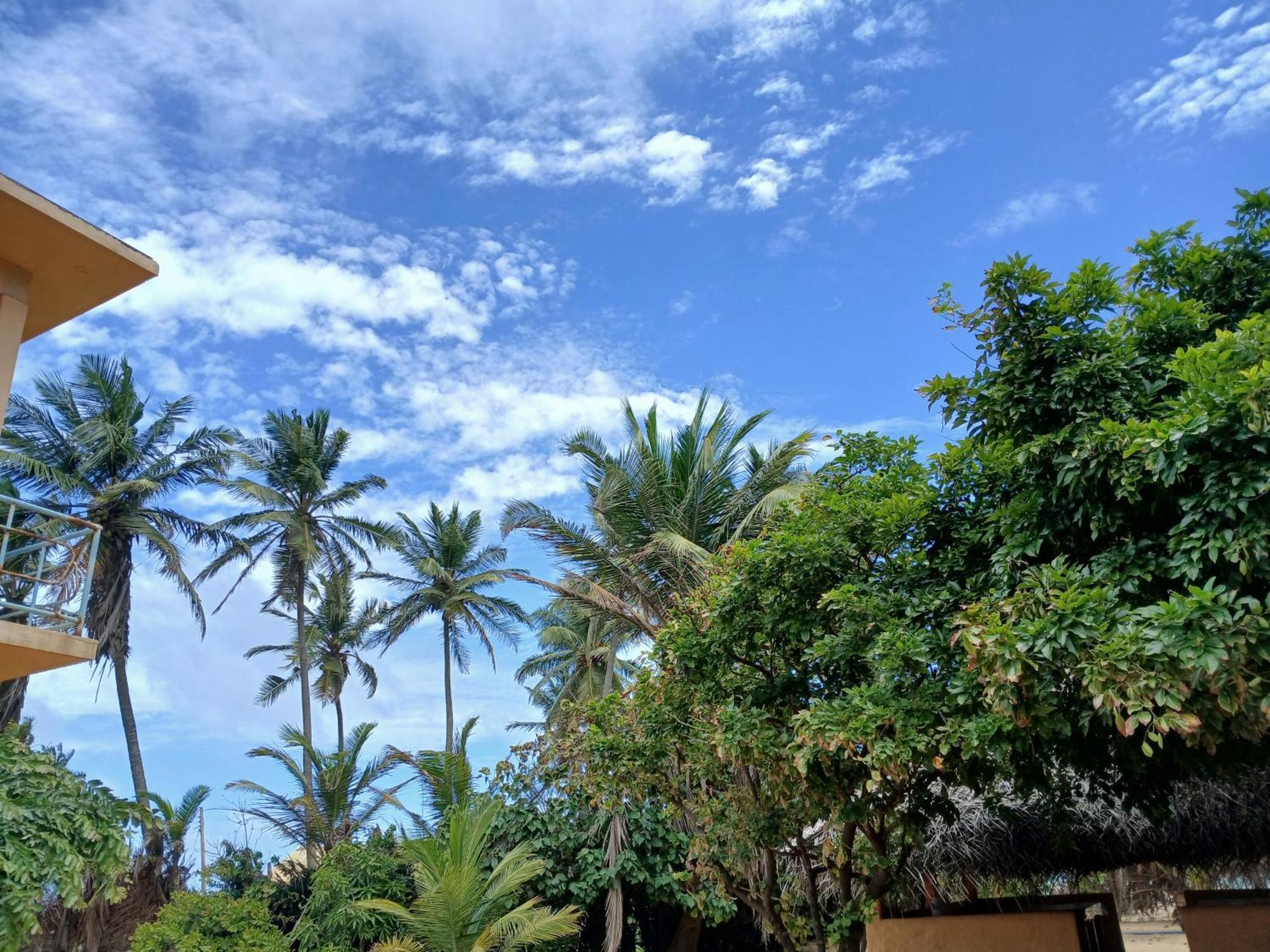 Dolphin Village