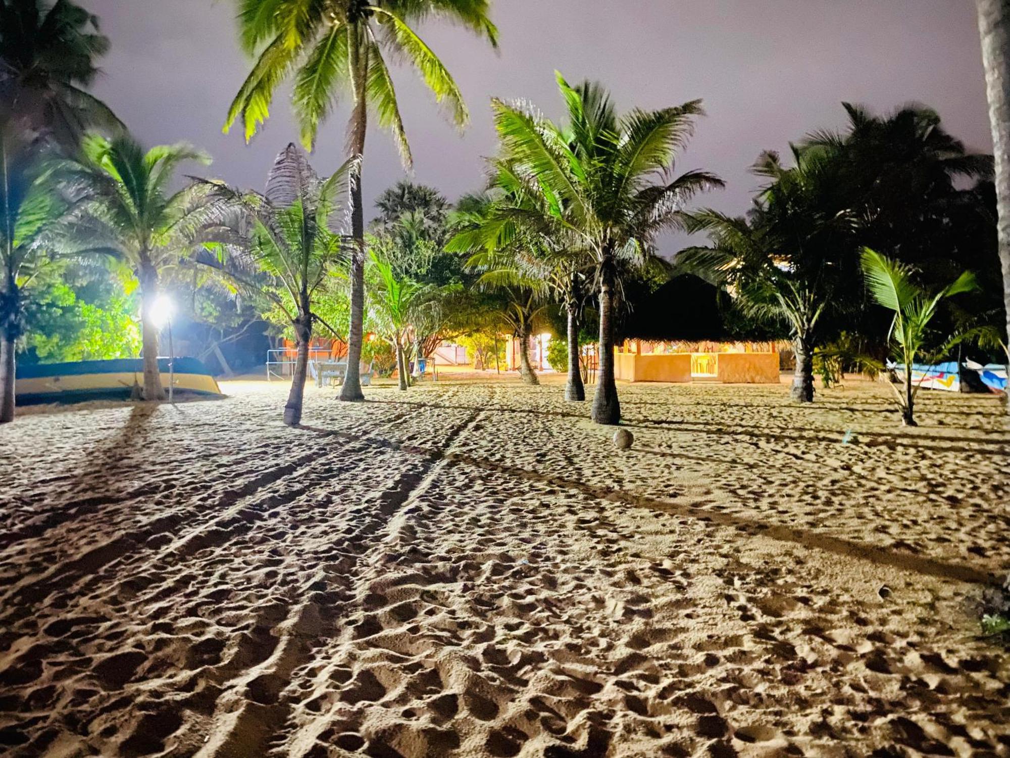 Dolphin Village * Alankuda